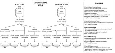 Nearshore Pelagic Microbial Community Abundance Affects Recruitment Success of Giant Kelp, Macrocystis pyrifera